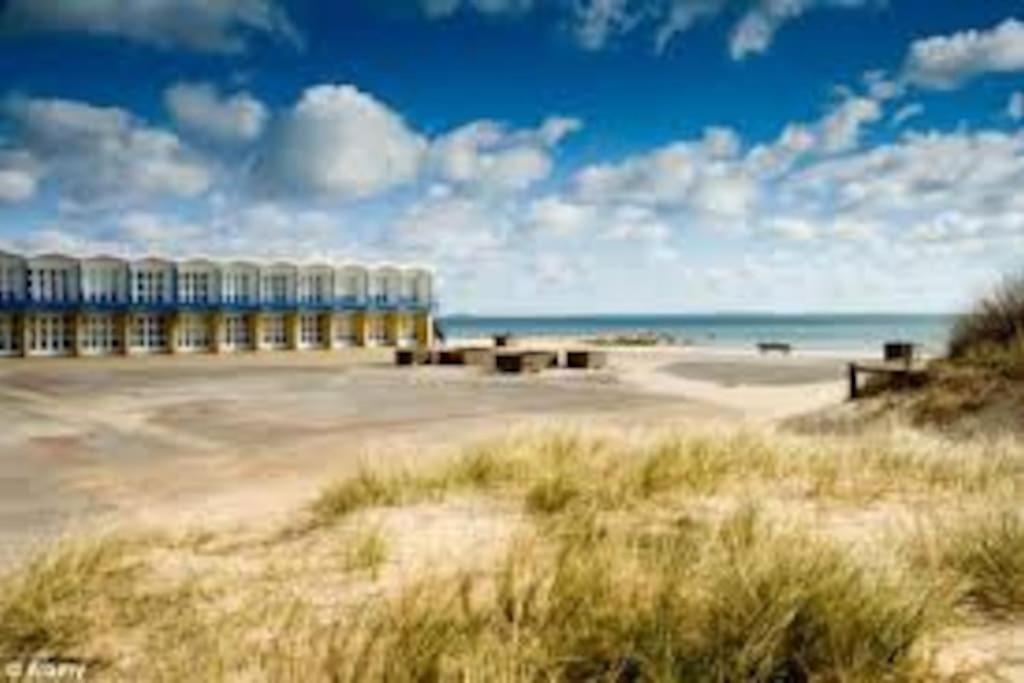Spacious 5 Large Bedroom Victorian House - Beach 2 Miles Poole Esterno foto